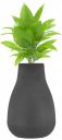 Amazon Brand - Solimo Flower Vase with Rust-Resistant Coating...