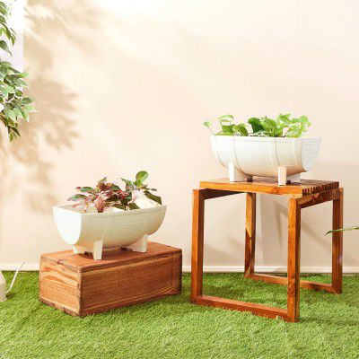 Amazon Brand- Solimo Indoor and Outdoor Rectangular 16 Inch Flower Planter Pot Best - Set of 2