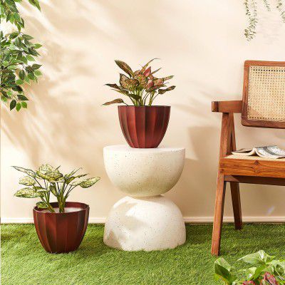 Amazon Brand- Solimo Indoor and Outdoor Round 10 Inch Sedona Flower Planter Pot Best - Set of 2