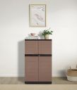 Amazon Brand - Solimo Medium Plastic Cabinet for Storage (Beige Colour) | Space Organizer | Shelves | Cupboard | Almirah | Wardrobe | Living Room | Kids | Multipurpose for Home Kitchen & Office...