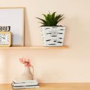 Amazon Brand - Solimo Metal Planter | Sturdy (Farmhouse Design | White Distressed)...