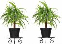 Amazon Brand - Solimo Metal Round Plant Stand and Holder | Set of 2...