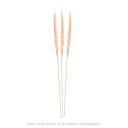 Amazon Brand - Solimo Natural Foxtail Bunch for Home Décor and Gifting (3 Stems, Light Pink)...