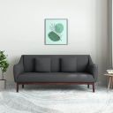 Amazon Brand - Solimo Ottus 3 Seater Sofa...