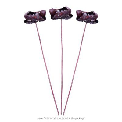 Amazon brand - Solimo Palm Cup Pearl wash Purple (3 pcs / Bunch)