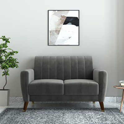 Amazon Brand - Solimo Ringsten 2 Seater Sofa (Fabric, Graphite Grey)