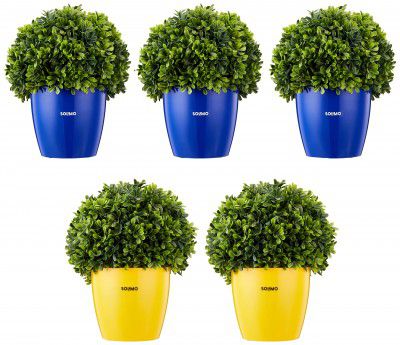Amazon Brand - Solimo Round Planter, Set of 5 (Blue 3 Pc, Yellow 2 Pc)
