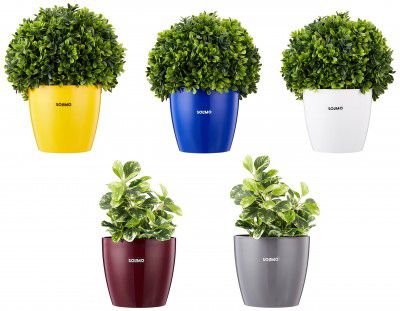 Amazon Brand - Solimo Round Planter, Set of 5