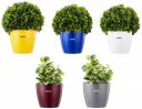 Amazon Brand - Solimo Round Planter, Set of 5...