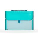 Amazon Brand - Solimo Semi Transparent Expanding File Folder with 13 Pockets, Handle, and Buckle Closure, for A4 Size Documents (Green)...