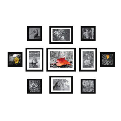 Amazon Brand - Solimo Synthetic Collage Set Of 11 Black Photo Frames 