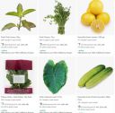 Amazon Fresh Deals Starts at 3 | Upto  94% Off...