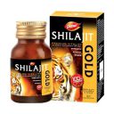Amazon Pharmacy : Dabur Shilajit Gold - 20 Capsules ...