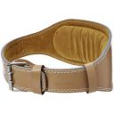 AmazonBasics 6 Inch Wide Padded Weight Lifting Belt (X-Large, Tan)...