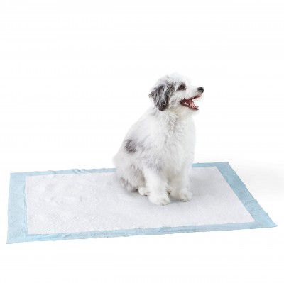 AmazonBasics Heavy Duty Pet and Puppy Training Pads, XL, 50 Piece