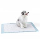 AmazonBasics Heavy Duty Pet and Puppy Training Pads, XL, 50 Piece...
