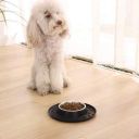 AmazonBasics Round Silicone Mat and Pet Bowl - Small, Black...