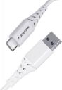 Ambrane USB Type C Cable 2.4 A 1 m ACT-10 Plus  (Compatible with Smartphones, White, One Cable)...