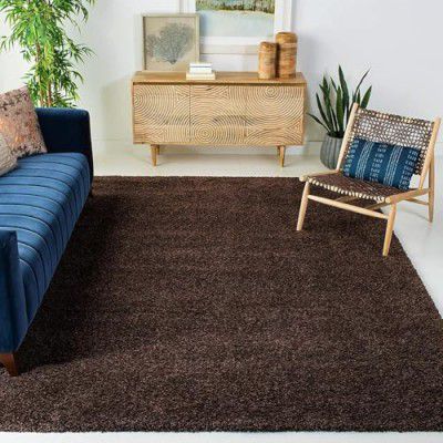 AMIABLE Shaggy Carpet for Living Room |  4 x 6 Feet (Brown)