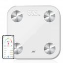 ANT Alpha Smart Scale for Body Weight, App Enabled Digital Bathroom Scale...