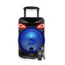 Ant Audio Rock 900 Trolley Party Speaker with Karaoke & FM Radio - 90 watt...