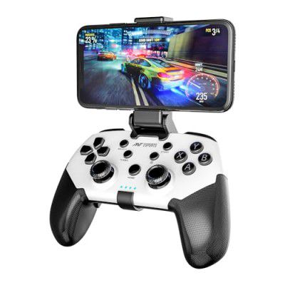Ant Esports GP320 Wireless Gamepad/Vibration Motors/Turbo Function – Black White