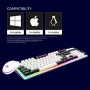 Ant Esports KM1610 LED Keyboard and Mouse Combo for PC Laptop Xbox PS4 Gamers and Work