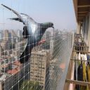 Anti Bird Protection Net (White, 10X12 FEET)...