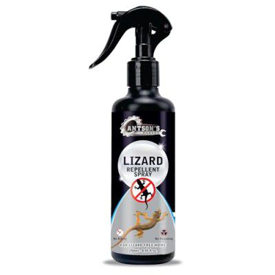 Antson 250 ml Lizard Repellent Spray | Repellent for Home Spray Pest Control (Lizard Repellent)