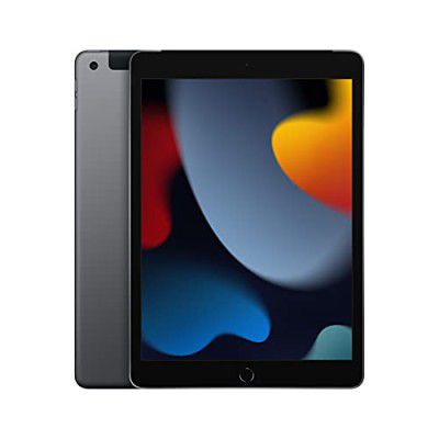 Apple 10.2-inch iPad with A13 Bionic chip (Wi-Fi + Cellular, 256GB) - Space Grey (9th Generation)