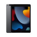 Apple 10.2-inch iPad with A13 Bionic chip (Wi-Fi + Cellular, 256GB) - Space Grey (9th Generation)...