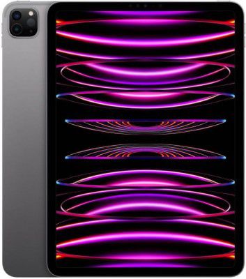 Apple 2022 iPad Pro (4th Gen) 2 TB ROM 11.0" with Wi-Fi Only (Space Grey)