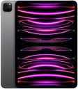 Apple 2022 iPad Pro (4th Gen) 2 TB ROM 11.0" with Wi-Fi Only (Space Grey)...