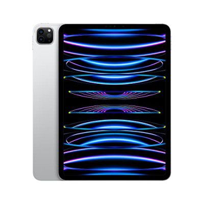 Apple iPad Pro 11 Inch (4th Generation): with M2 chip
