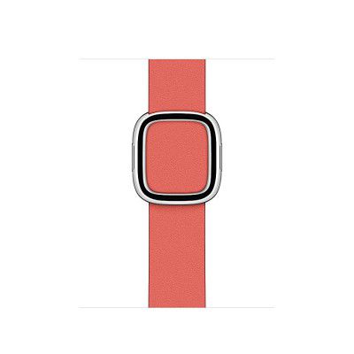 Apple Watch Modern Buckle (40mm) - Pink Citrus - Large