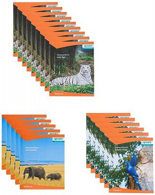Apsara Small size Softbound Notebook 19x15.5 Pages 92Broad Line