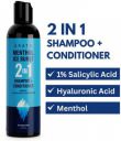 ARATA Menthol Ice Burst 2-in-1 Shampoo + Conditioner | With 1% Salicylic Acid  (200 ml)...