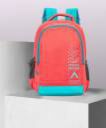 ARISTOCRAT Medium 27 L Backpack Polyester 27L Alps Backpack Red For Men & Women  (Red)...