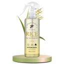 Aromatique Rice Water Toner/Mist Spray/Hydrosol - Hydrating, Nourishing Skin & Hair Care - Brightens, Revitalizes, Softens - 200ML...
