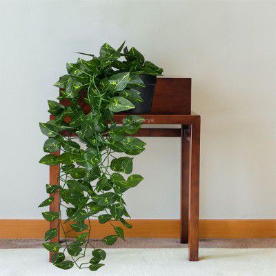 Artificial Creeper Money Plant Garland (Pack of 1) 