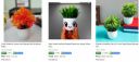 Artificial Plants Starts ₹98...