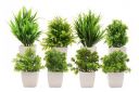 Artificial Plants with Pot 8 Pack | Realistic Looking | Multi Variety | Durable Plastic ...