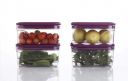 Arto Clear Food Storage Containers with Purple Lids, Rectangular Shape, (POF-5)...