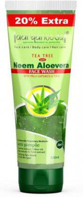 Aryanveda Tea Tree Face Wash  (120 ml)