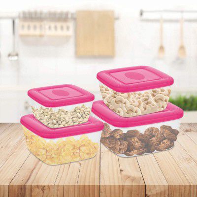 Asian Plastowares Plastic Flora Container, 500ml, 1 Litre, 1.5 Litre, 2.5 Litre, Set of 4, Color May Vary