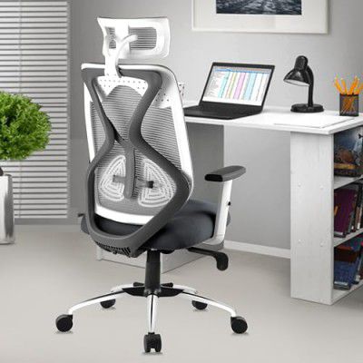 ASTRIDE Grey Office Chair | 3-Years | Adjustable Arms | Lumbar Support