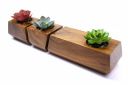 ATLAAYA Indoor Wooden Planter Set of 3 Decorative Succulent Pots with Plants & Unique Design...