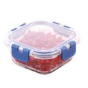 ATTRO Glassox Borosilicate Square Glass Lunch Box...