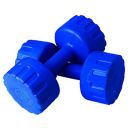 Aurion M1 PVC Dumbell 1 KG x 2 (Blue)...