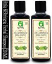 Ayurdaily Amla & Bhringraj Herbal Shampoo/Cleanser for Anti Hair Fall & Anti Dandruff (420 ml)...
